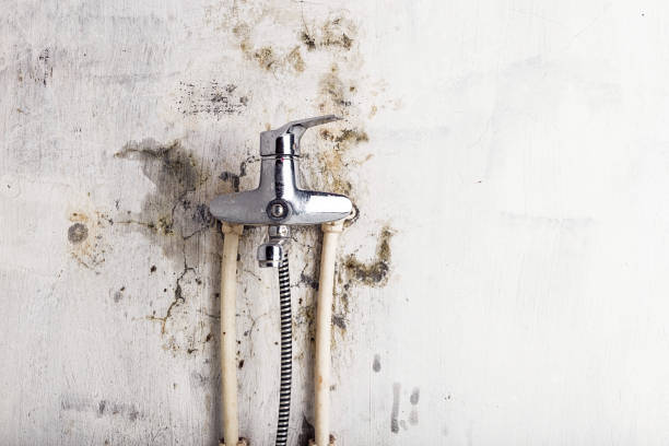 Best Water Damage Restoration  in Harker Heights, TX
